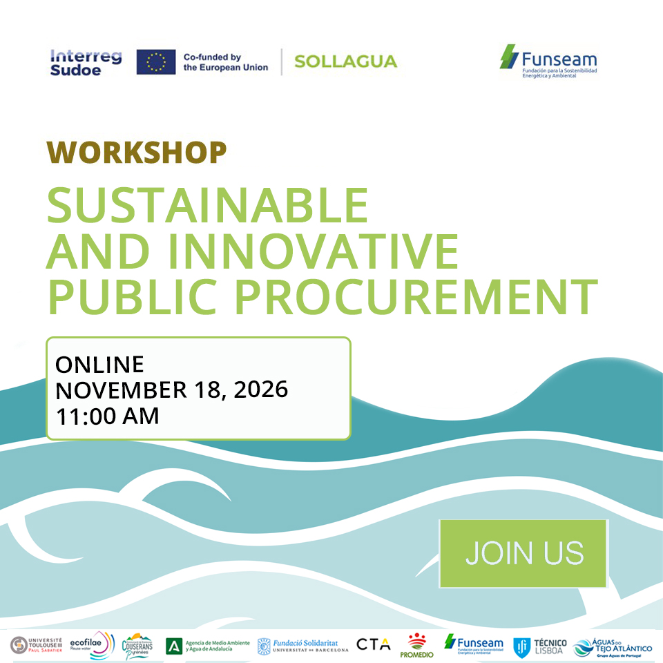 2_Funseam_BannerSollagua_workshop_960x960 PublicProcurement