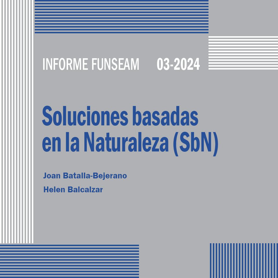 informe_funseam_SbN