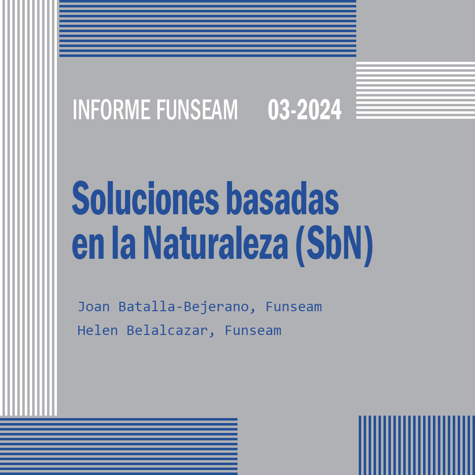 informe_funseam_SbN_v2